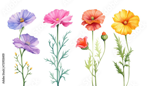 Wallpaper Mural Colorful Flower Set Watercolor Style Isolated on Transparent Background
 Torontodigital.ca