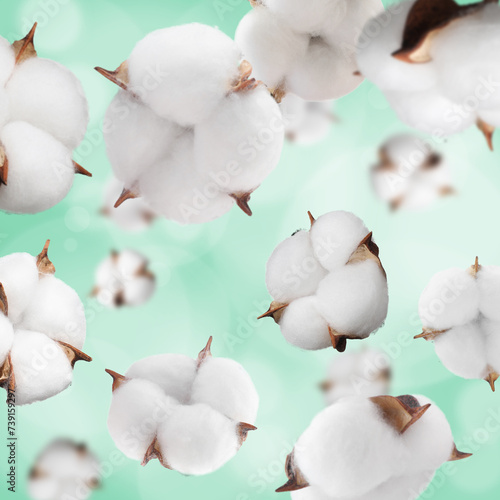 Beautiful cotton flowers falling on aquamarine background