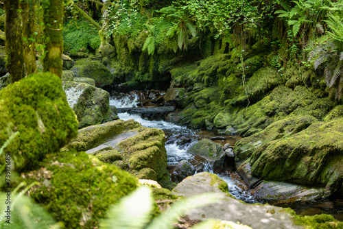 Small waterfalls near Torc Waterfall, one of most popular tourist attractions in Ireland, located in woodland of Killarney National Park. Ring of Kerry tourist route, Ireland.
