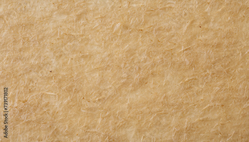 The texture rice paper. The background.
