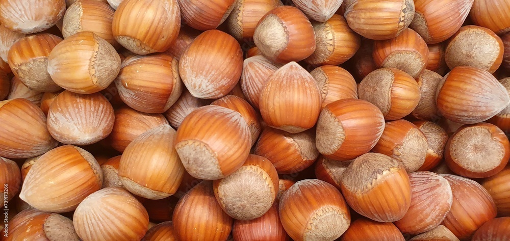 Organic hazelnuts background, pattern. Hazelnut in shell isolated. Nuts packaging design, close-up hazelnut background.	