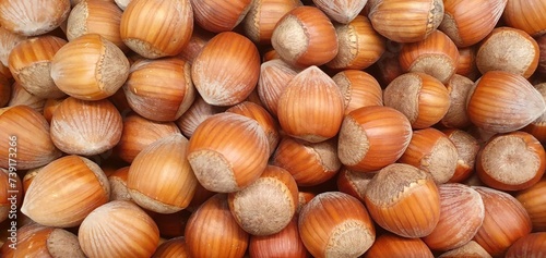 Organic hazelnuts background, pattern. Hazelnut in shell isolated. Nuts packaging design, close-up hazelnut background. 