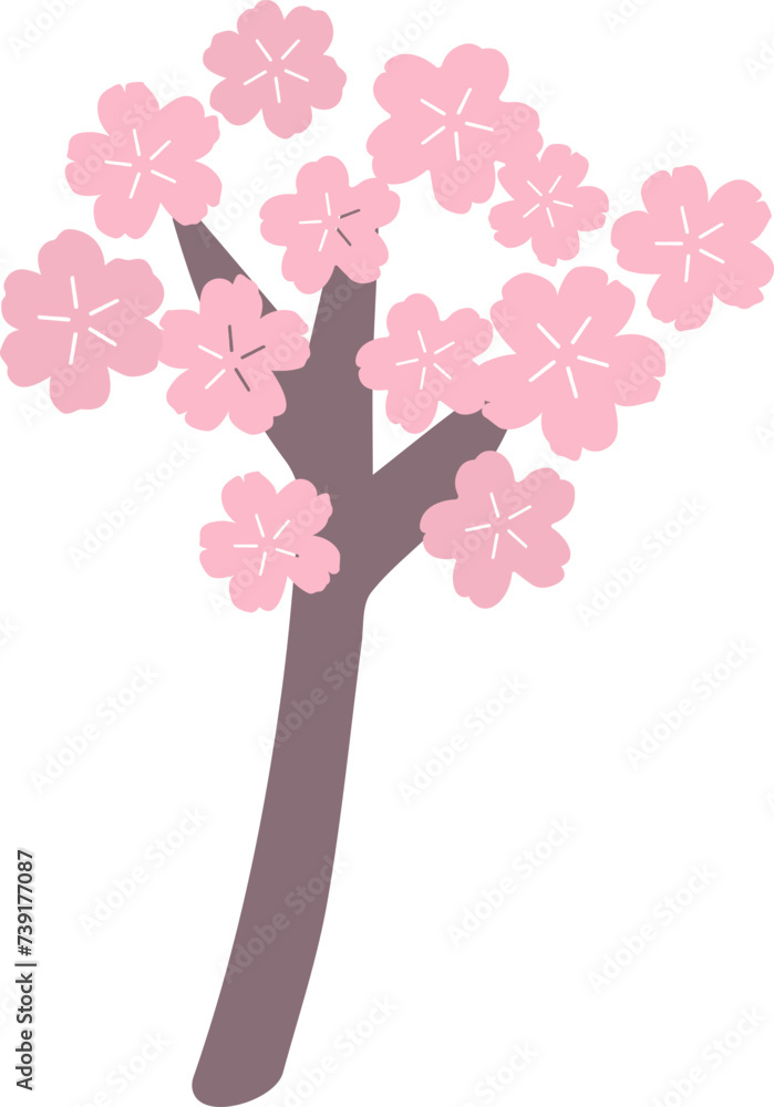 Beautiful pink Sakura Cherry Blossom with branch illustration for spring time. Beautiful pink Sakura Cherry Blossom with branch illustration for spring time.