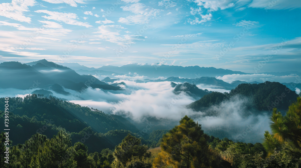 Nature is bright, beautiful and amazing. Nature is bright, beautiful and amazing.