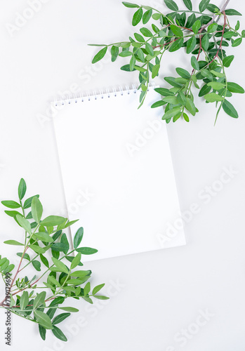 Branches with green leaves and notepad on paper background.