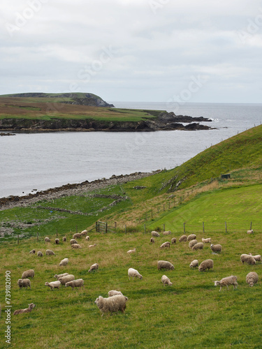 Seaside view. Sea landscape. Shetland Islands photo