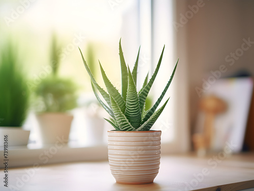 Aloe vera plant in a white flower pot on wooden table with blurry bright background