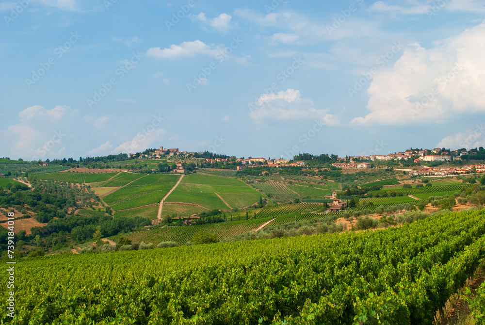 splendid vineyards on the Chianti hills