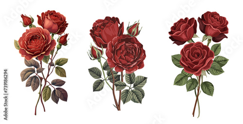 Gorgeous bouquets of red, burgundy, wine roses and green leaves. Realistic vector illustration isolated, transparent background. Floral watercolor design for poster, greeting card, wedding invitation.