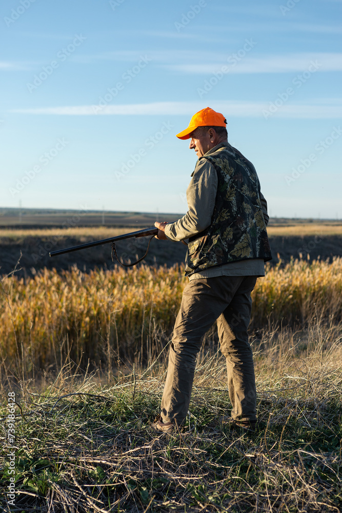 Mature man hunter with gun while walking on field. Mature man hunter with gun while walking on field.