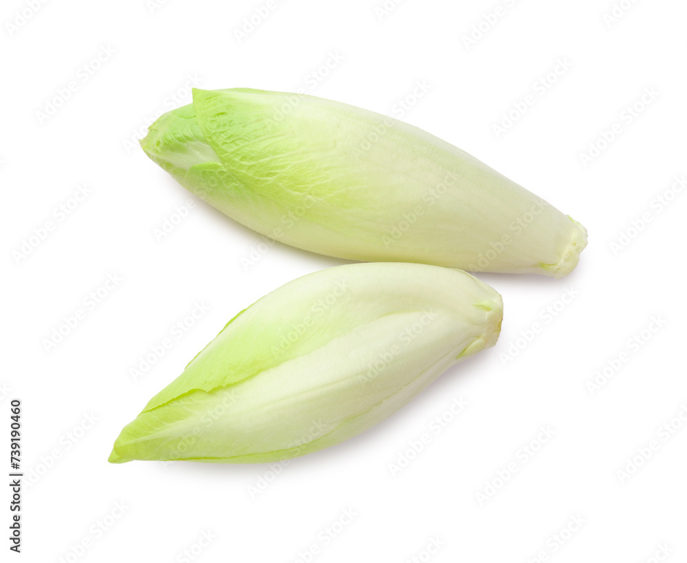 Raw ripe chicories on white background, top view Raw ripe chicories on white background, top view