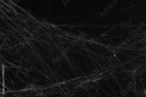 Creepy white spider web on black background