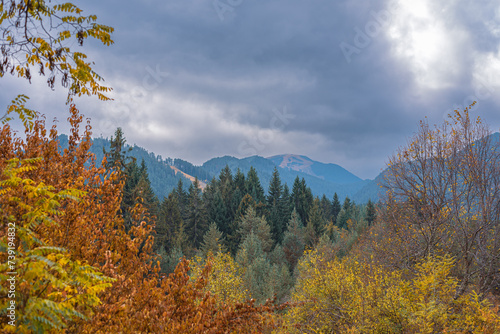 Bansko, Bulgaria, autumn landscape with colorful trees and peaks of the Pirin mountains