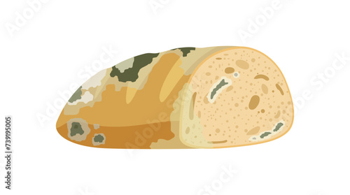Spoiled bread food. Rotten food product, organic food waste cartoon vector illustration