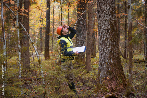 A male ecologist works in the forest.