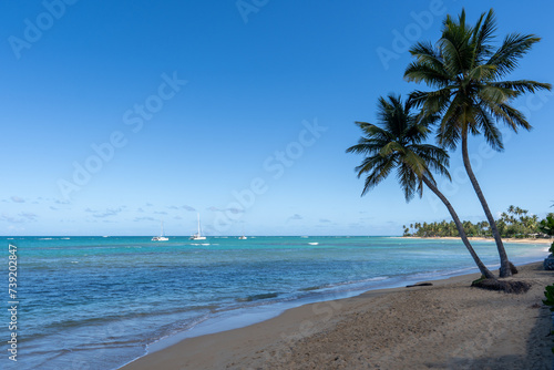 Fototapeta Naklejka Na Ścianę i Meble -  Las terrenas Beach, Samaná peninsula, Dominican Republic 