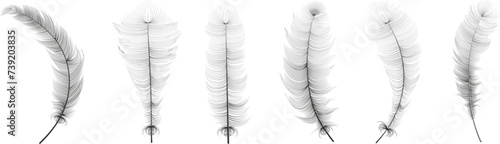 Flying realistic vector goose or swan white feathers of various shapes. Ecological feather filler for pillows, blankets or jackets.Vector concept design.