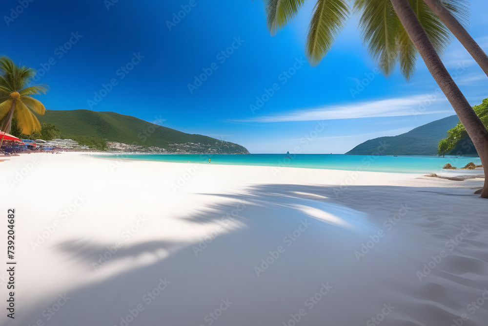 White Sandy Beach With Palm Trees and Blue Water