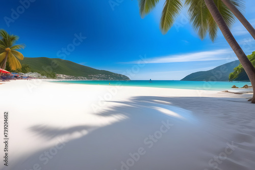 White Sandy Beach With Palm Trees and Blue Water