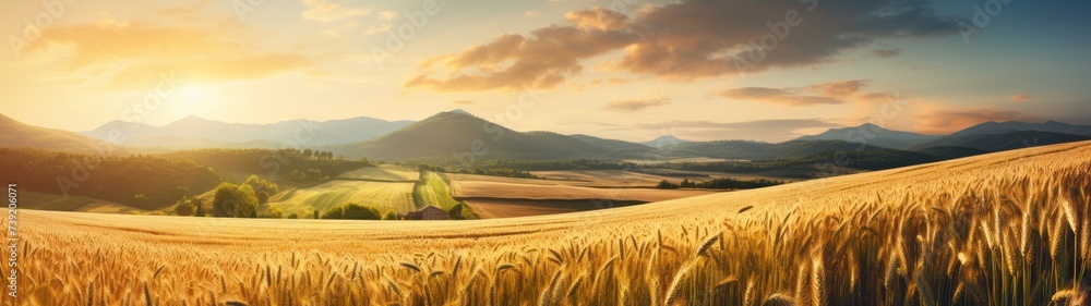 Countryside View at Golden Hour