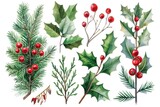 Traditional Christmas Plant Collection with Evergreen Leaves and Holly Berries