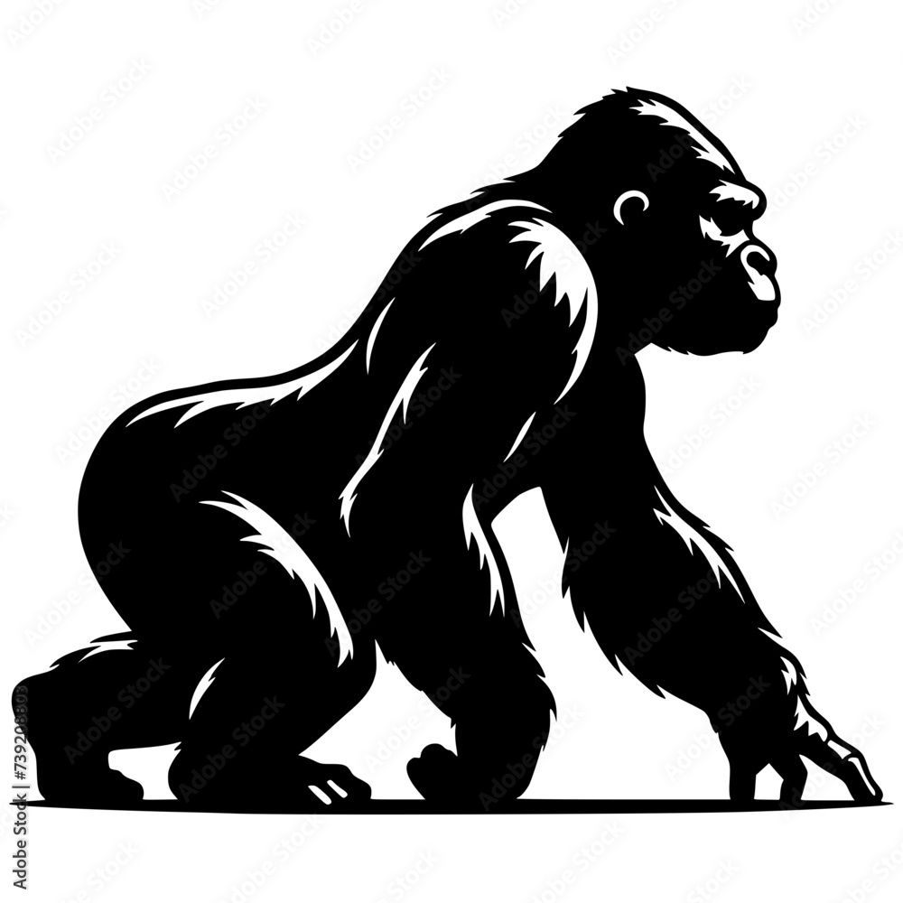 Silhouette of a gorilla walking Silhouette of a gorilla walking