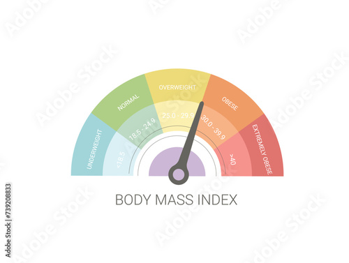 BMI infographic. Body mass index. Chart indicator. Weight control. Vector flat illustration