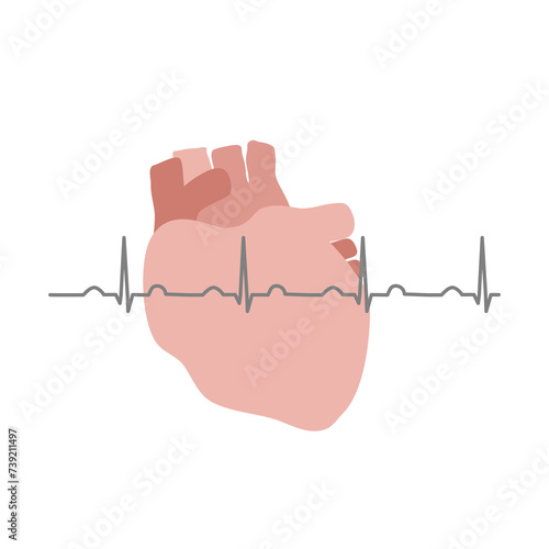 The icon concept of Electrocardiogram (ECG) or electrocardiography (EKG) reading over the heart of heartbeat measurement.