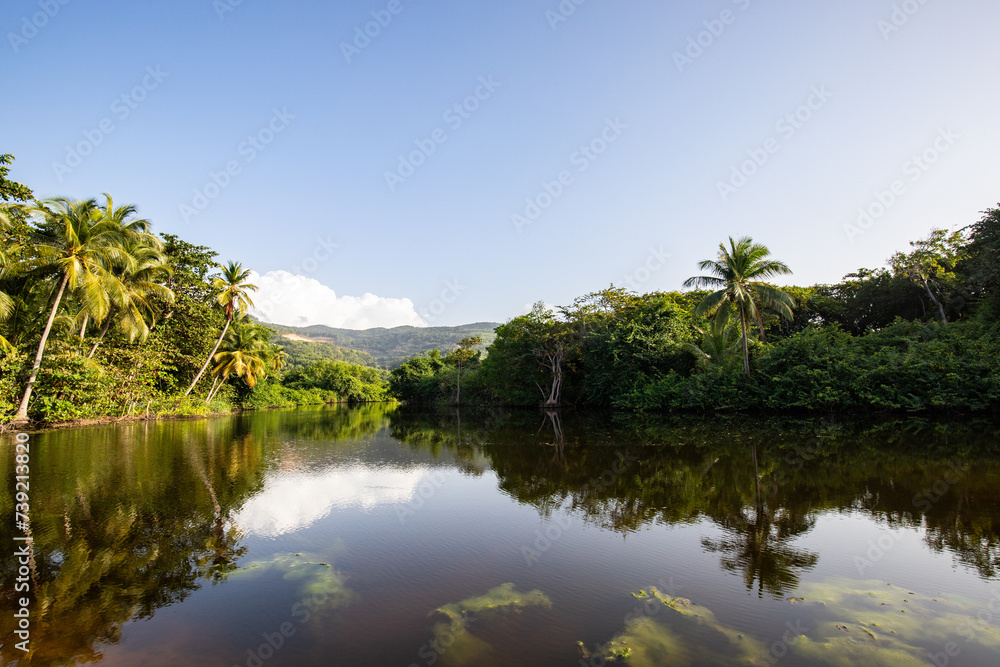 Guadeloupe, a Caribbean island in the French Antilles. Landscape and view of the Grande Anse bay on Basse-Terre. a mangrove arm directly on the river, beach