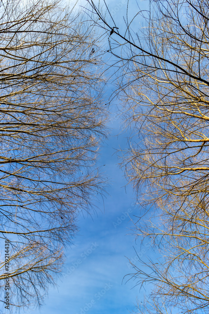 guardando il cielo guardando il cielo