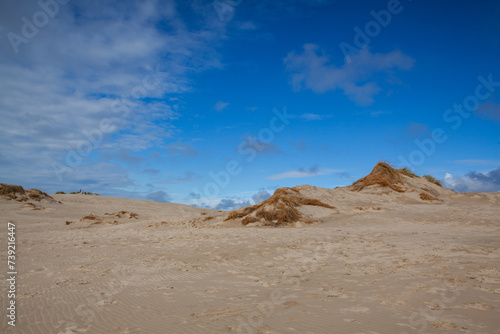 Rabjerg Mile is a migrating coastal dune, Denmark.