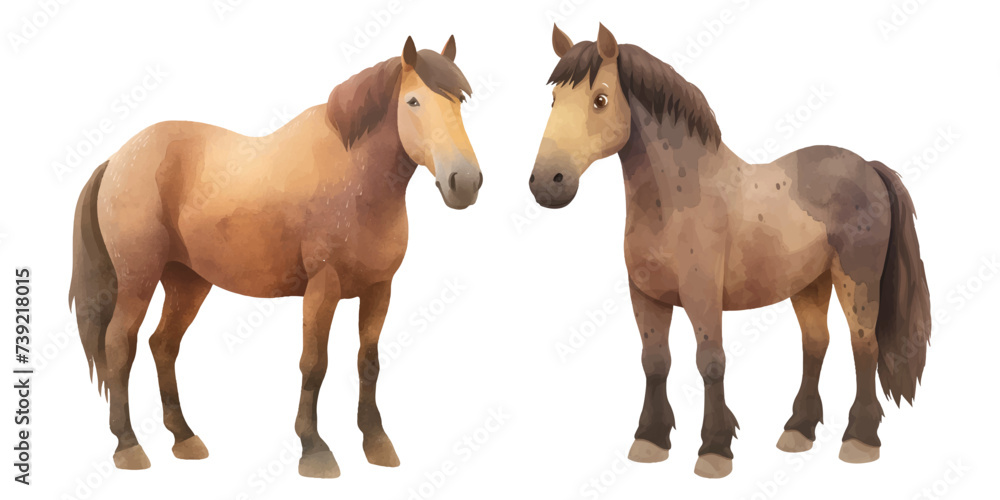 Obraz premium cute brown horse head watercolor illustration