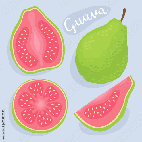 Guava. Pink guava, green guava. Half, slice and whole of fresh  guava. Guajava. 