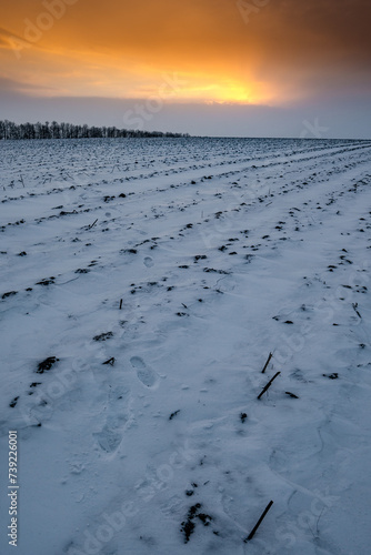 Red sunset over the winter field . Snow on the field. Orange clouds . Winter landscape 