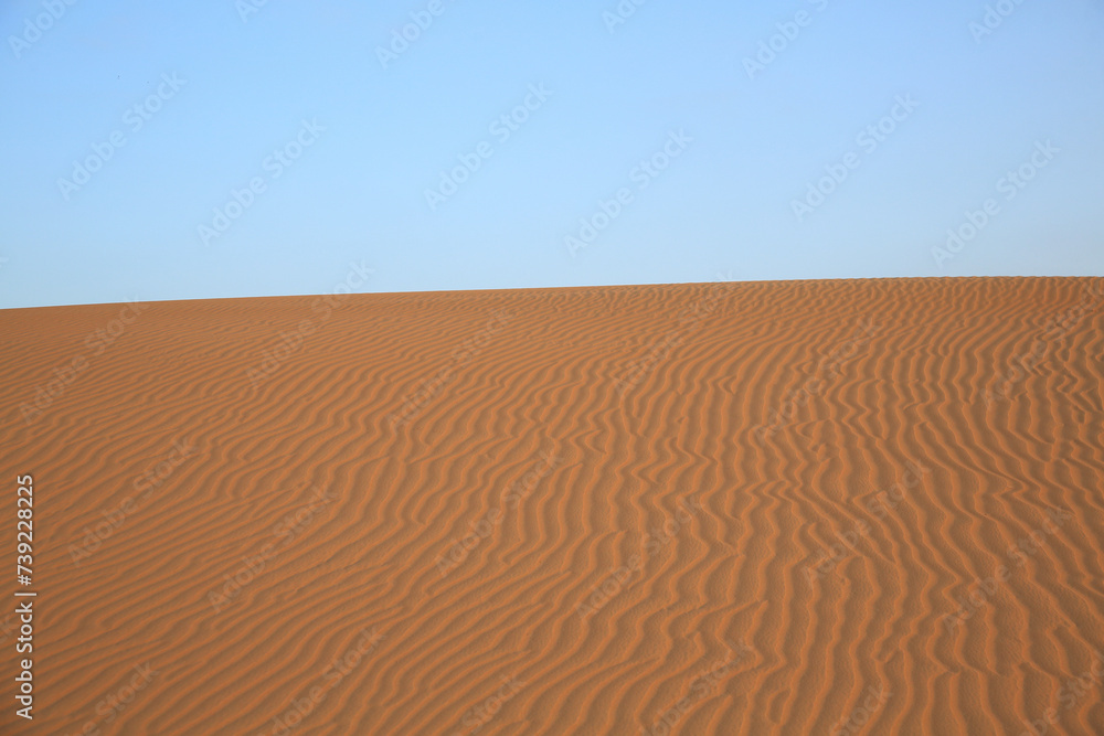 Naklejka premium WÃ¼stenstruktur...