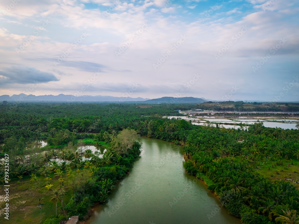 Forests and canals from an aerial view. Top angle Nature and water. Photo for using backgrounds, trees, and flowing streams