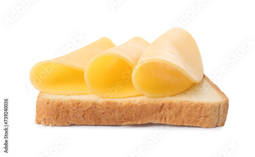 Tasty sandwich with slices of fresh cheese isolated on white