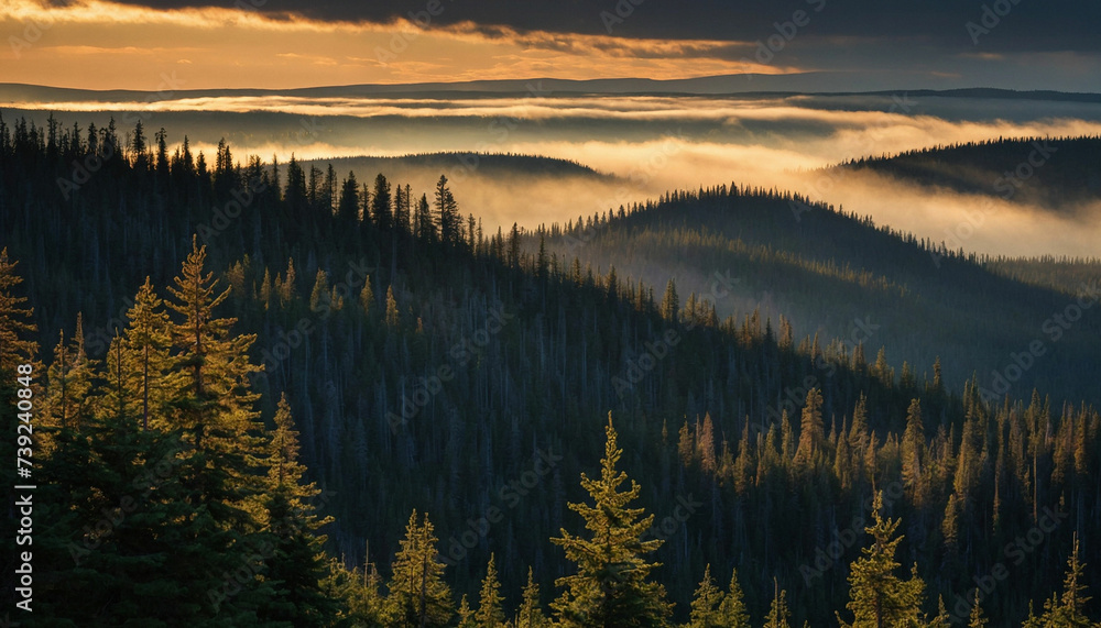 Obraz premium Beauty of dusk settling over the spruce landscape focus on the interplay of shadows and light as the last rays of the sun cast a warm glow on the rugged terrain