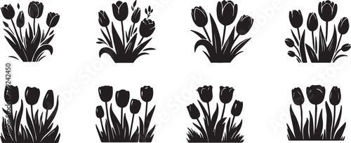 Tulips, black silhouette on a transparent background spring flowers vector set for stencil, engraving, printing