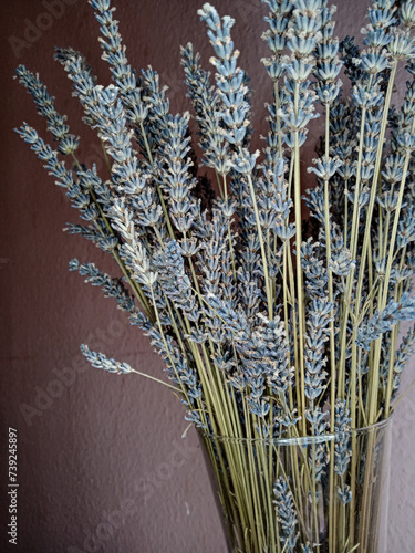 lavender flowers in a glass vase