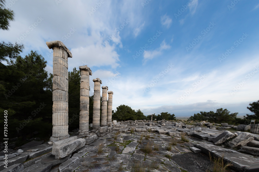 Priene Ancient City is an ancient Greek city located in the Söke district of Aydın province.