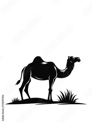 Dunes and Drifts  Vectorized Camel Adventure