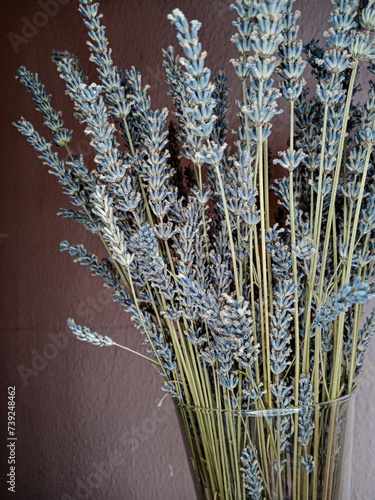 lavender flowers in a glass vase