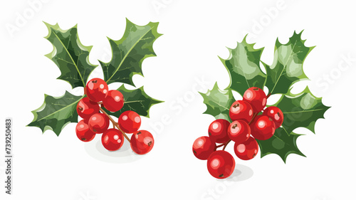 Holly berry icon. Christmas symbol vector