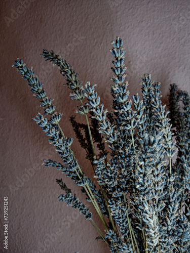 a bunch of lavender in a bouquet on a background of a pink wall