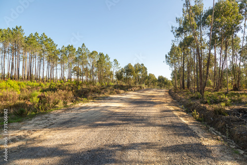gravel road,untarred,country road,portugal,landscape,sunny,blue sky,road,trees,europe,street,avenue,driving