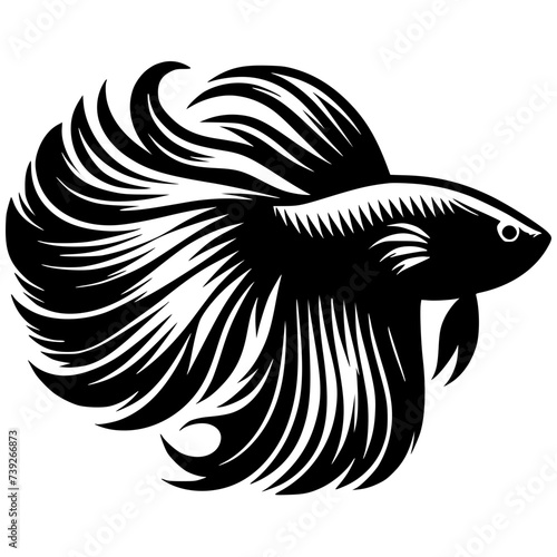 Beautiful betta fish silhouette