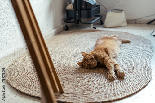 Gato naranja tumbado en alfombra de esparto jugando y estirandose photo