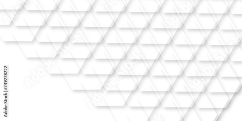  abstract modern hexonal grid pattern ceramic tiles wall and floor background. White and gray paper shape design. Texture surface.metal background. mosic geometry style concept.