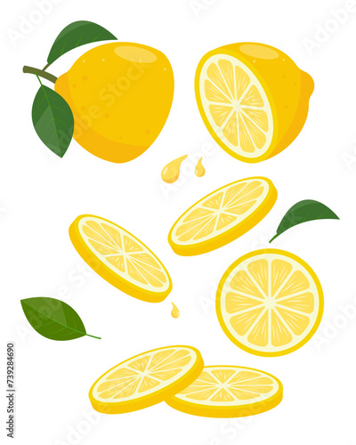 Fresh yellow cut lemon fruit and slices. Organic fruit Lemon for lemonade juice or detox smoothie, vitamin C healthy food. Vector icons illustration isolated on white background.